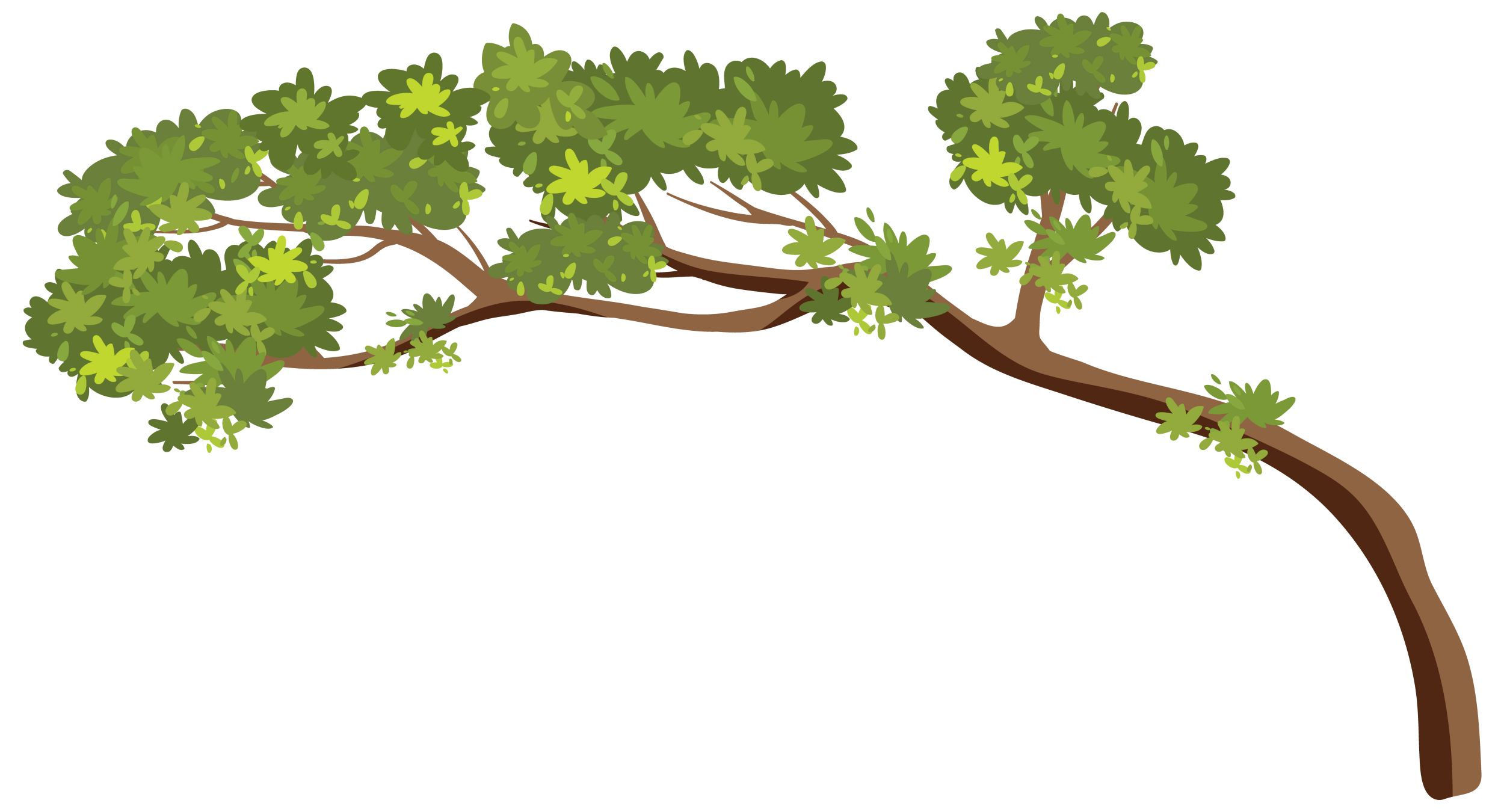 tree-branch